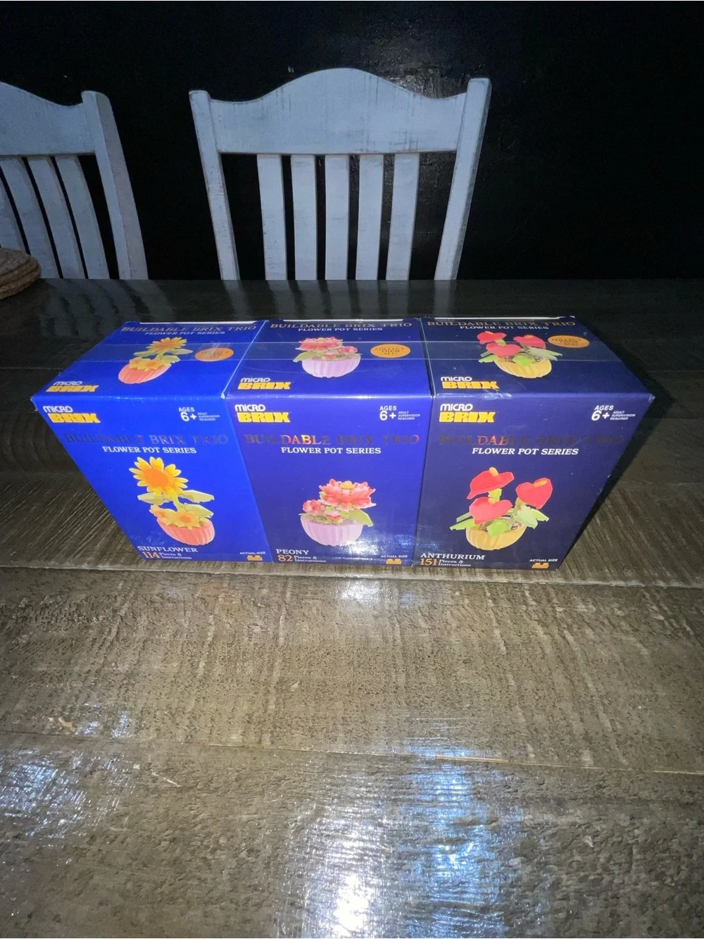 Buildable Flower Pot Trio - Sunflower, Peony & Anthurium (Blue Packaging)